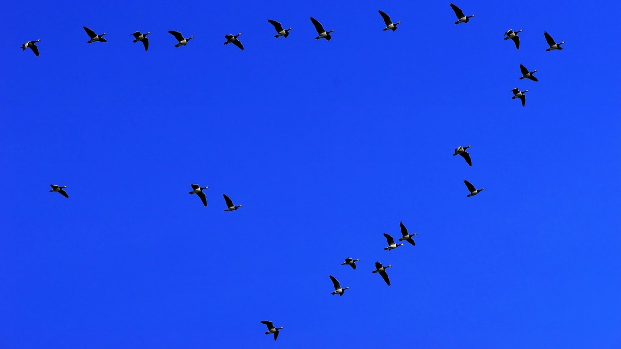 Why Gratitude Makes You a Better Leader – hvorfor taknemmelighed gør dig til en bedre leder